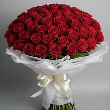 Букет 101 Красная роза Блэк Мэджик в Пузево