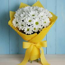 Букет цветов из:  Хризантемы в Пузево