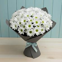 Букет цветов из:  Хризантемы в Пузево