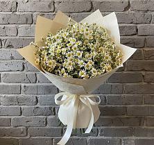Букет цветов из:  Ромашки в Пузево