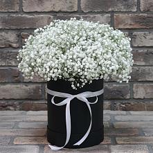 Цветочная композиция из Гипсофила в шляпной коробке в Пузево