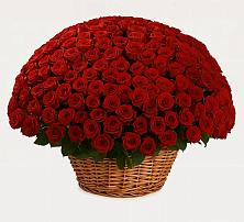 Премиум букет из: Розы в Пузево