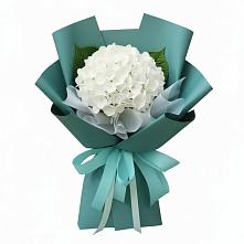 Букет цветов из:  Гортензия в Пузево